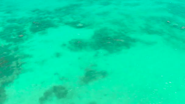 Transparant blauw zeewater in de lagune. Koraalriffen en atollen in de tropische zee, Top uitzicht. Zeeoppervlak. — Stockvideo