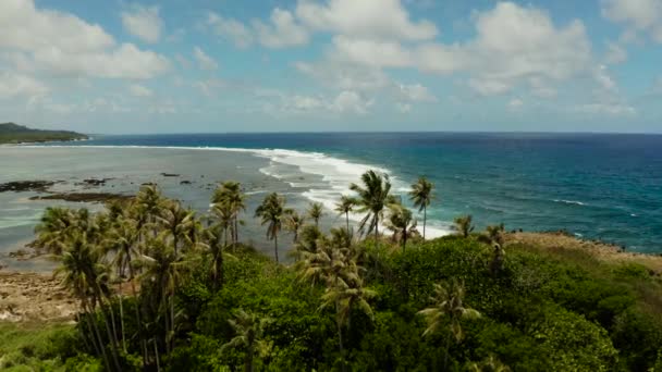 La costa de la isla de Siargao en marea baja. — Vídeos de Stock