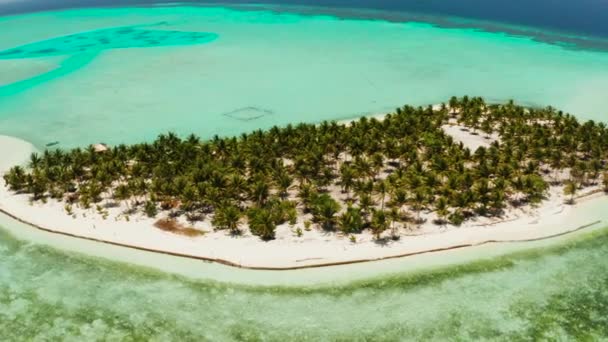 Тропічний острів оточений гарними лагунами. Острів Онок Балабак, Філіппіни. Відпочинок на тропічному острові. — стокове відео