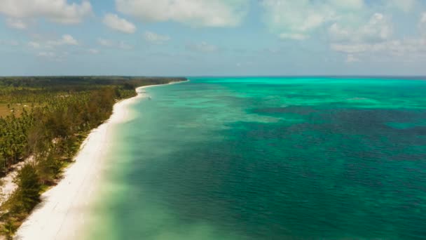 Groot tropisch eiland wit zandstrand, uitzicht van bovenaf. Zeegezicht, de natuur van de Filipijnse eilanden. — Stockvideo