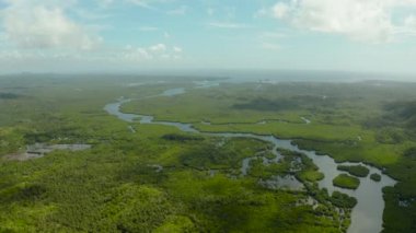 Filipinler'de nehirler ilerlemiolan mangrovlar. Mangrovlar ve adalar ile tropikal manzara.