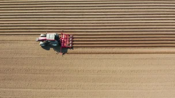 Tracteur avec herses à disques sur terres agricoles, vue de dessus. Tracteur coupe des sillons dans un champ labouré. Travaux agricoles avec un tracteur . — Video