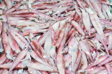 Pazar tezgahında taze mürekkep balığı. Piyasada yakın çekim taze kalamar. Taze deniz ürünleri.