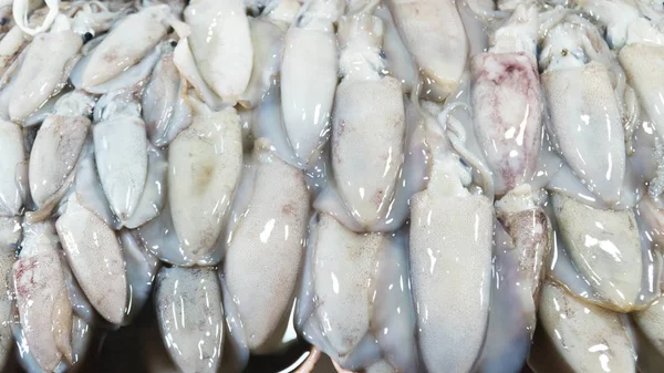 Fresh squid na straganie na rynku. Zbliżenie świeże kalmary na rynku. Świeże owoce morza. — Zdjęcie stockowe