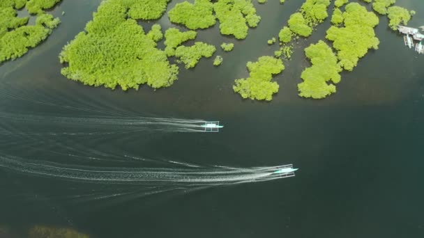 Широкая река с мангровыми рощами, вид сверху. Моторная лодка плывет вдоль тропических деревьев . — стоковое видео
