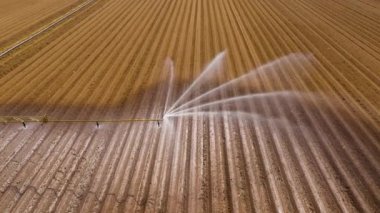 Tarım arazisindeki sulama sistemi.