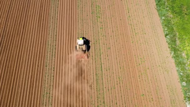 Machines agricoles dans le champ de pommes de terre cultive la terre. — Video