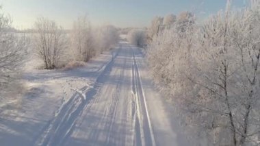 Sabahın erken saatlerinde karlı bir yol. Soğuk havayla kaplı İni ağaçları.