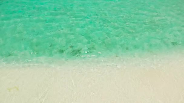 Sea waves with foam, top view. White sand beach. — Stock Video