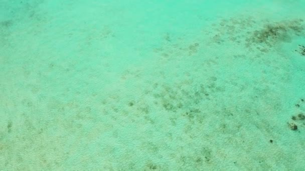 Transparentes blaues Meerwasser in der Lagune. helle Lagune mit klarem Wasser und Korallen, Blick von oben. Meeresoberfläche über dem Meeresatoll. — Stockvideo