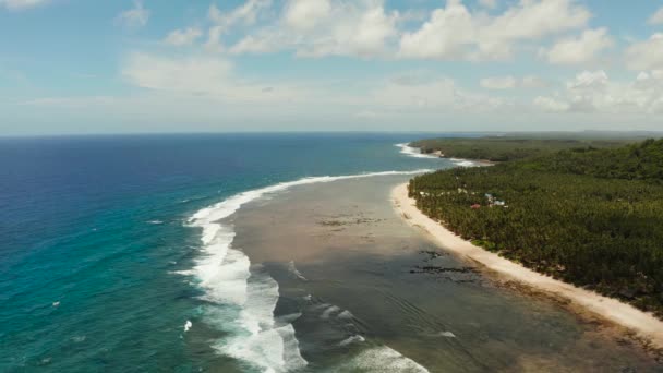 Παραλία με λευκή άμμο και φοίνικες στο νησί Siargao, Φιλιππίνες. — Αρχείο Βίντεο