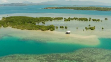Mercan adalarındaki mangrov ağaçları. Mercan resifleri ve lagünler ile Deniz Manzarası.