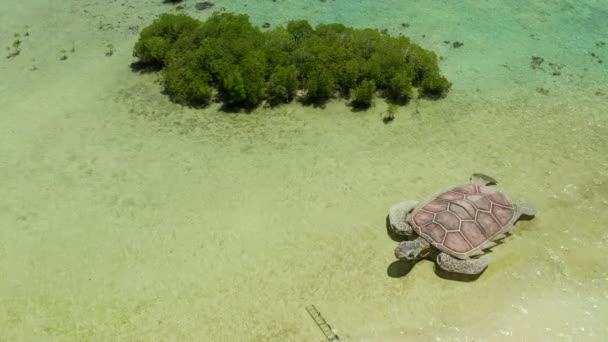 Τροπικό νησί με αμμώδη παραλία. χελώνα, Palawan, Φιλιππίνες — Αρχείο Βίντεο