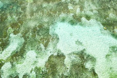 Mercan resifinin üzerinde deniz yüzeyi.