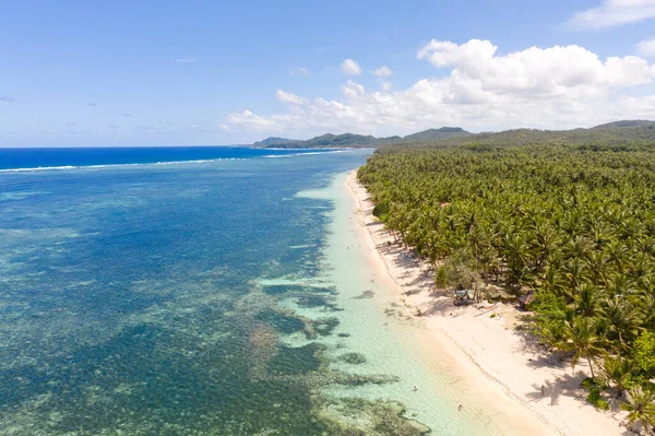 Spiaggia di sabbia bianca con palme sull'isola di Siargao, Filippine . — Foto Stock