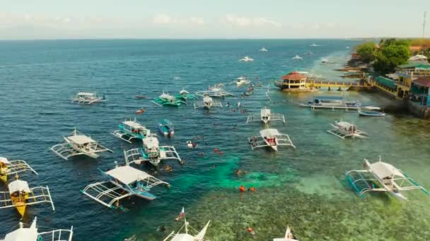 Turistas snorkeling em recife de coral, Moalboal, Filipinas — Vídeo de Stock