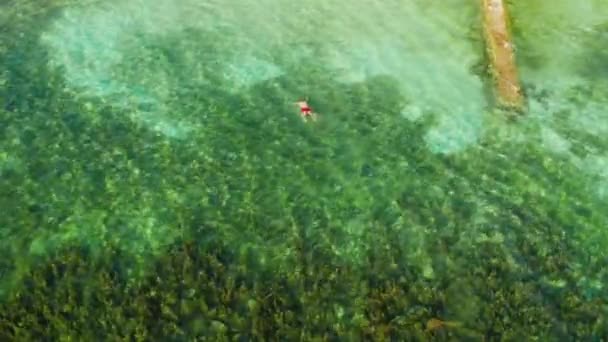 Mercan resiflerinde, Moalboal 'da, Filipinlerde şnorkelle yüzen turistler — Stok video