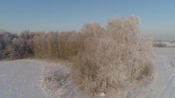 Bosque de invierno. Vista desde arriba. Paisaje invernal. Árboles de coníferas y caducifolios en clima helado . — Vídeos de Stock