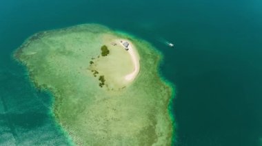 Kumlu bir tropik ada. Kaplumbağa, Palawan, Filipinler