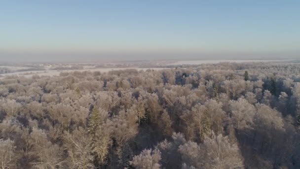 Bosque de invierno. Vista desde arriba. Paisaje invernal. Árboles de coníferas y caducifolios en clima helado . — Vídeos de Stock