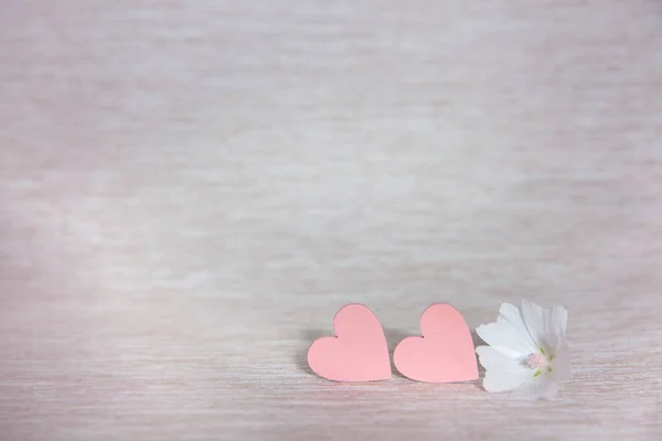 Two hearts. Background for congratulations with pink hearts. Hearts and white flower.