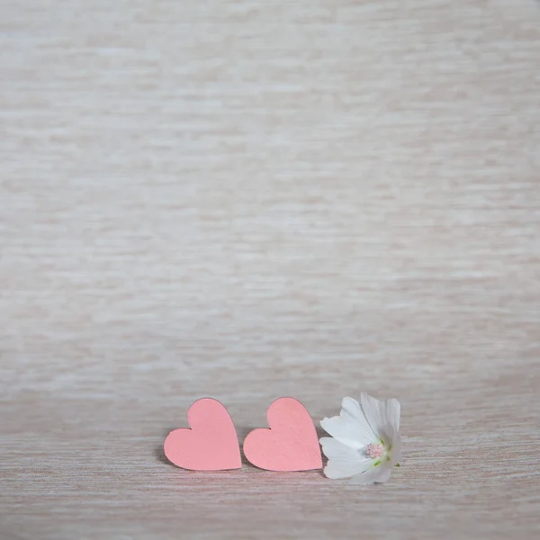 Two hearts. Background for congratulations with pink hearts. Hearts and white flower.