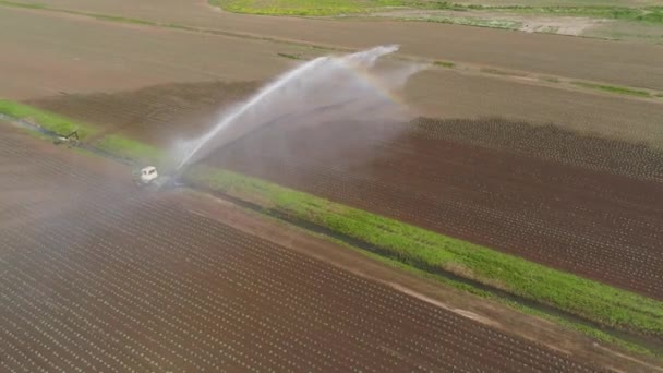 Irrigation system on agricultural land. A large stream of water to irrigate the field. A tractor is watering a field. Channel for watering the fields. — Stock Video