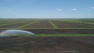 Tarım arazisindeki sulama sistemi. Alanı sulamak için büyük bir su akıntısı. Bir traktör tarlayı suluyor..