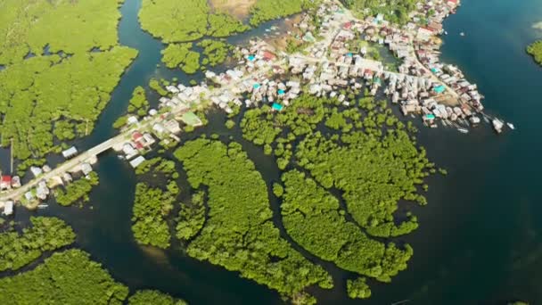 水とマングローブの町、トップビュー。シアルガオ島の海岸. — ストック動画