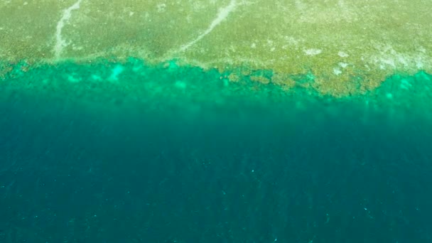 ターコイズブルーの水を持つサンゴのサンゴ礁、モアルボアル、フィリピン。熱帯の海の詳細、昼間の青い水. — ストック動画