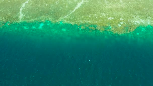 Coral reef with turquoise water, Moalboal, Philippines. Tropical sea details, blue water in daylight. — Stock Video