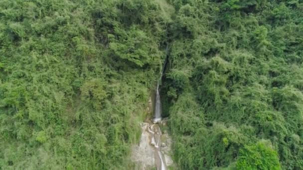 Vízesés a hegyekben. Hegyek esőerdőkkel. A hegyeket sűrű dzsungel borítja.. — Stock videók