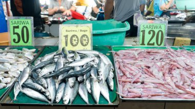 Satılık bir sürü küçük balık. Tezgahta çeşitli balıklar var..