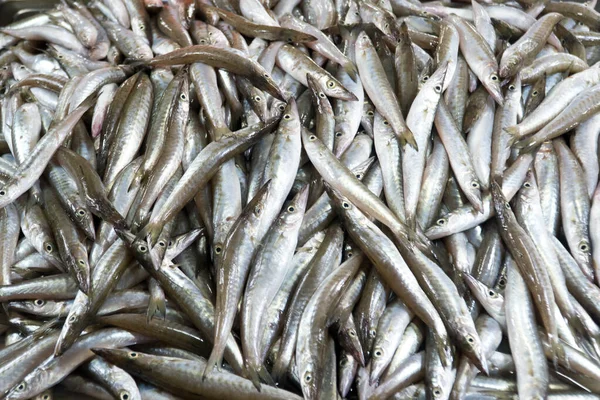 Sprat on the counter. A lot of small fish for sale. — Stock Photo, Image