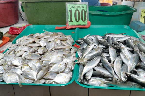A lot of small fish for sale. Various fish on the counter.