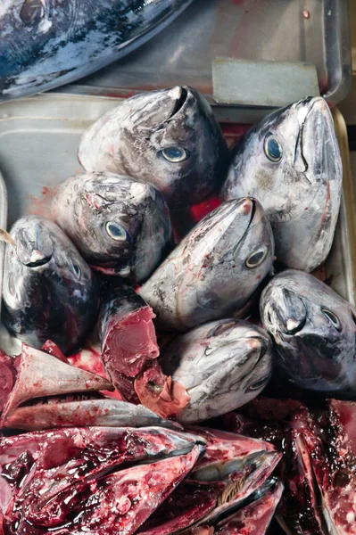 Raw tuna on the counter in the store, close-up. Tuna on the counter