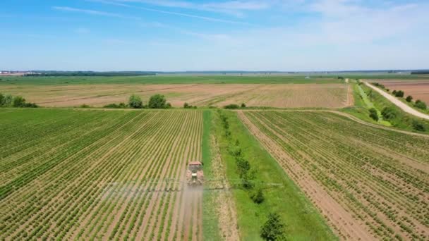 Tractor pulverización de pesticidas en el campo vegetal con pulverizador — Vídeos de Stock