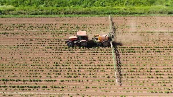 Пестициды трактора на овощное поле с распылителем — стоковое видео