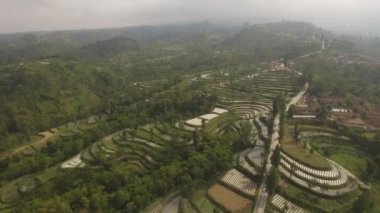 Dağlarda tarım arazileri olan tropik bir manzara. Endonezya 'nın Java Dağı' ndaki hava manzaralı tarım arazileri.