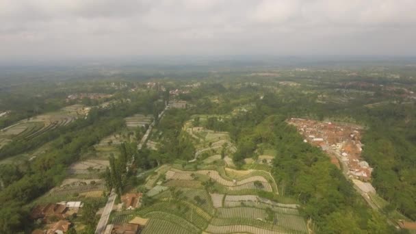 Tropisch landschap met landbouwgronden in de bergen. Zicht vanuit de lucht op landerijen op Java, Indonesië. — Stockvideo