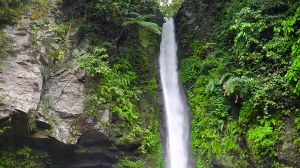 Waterval in groen regenwoud. Tropische Tuasan watervallen in de bergjungle. waterval in het tropisch bos. — Stockvideo