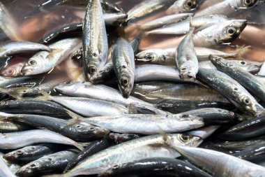 Tezgahın üstüne serp. Satılık bir sürü küçük balık..