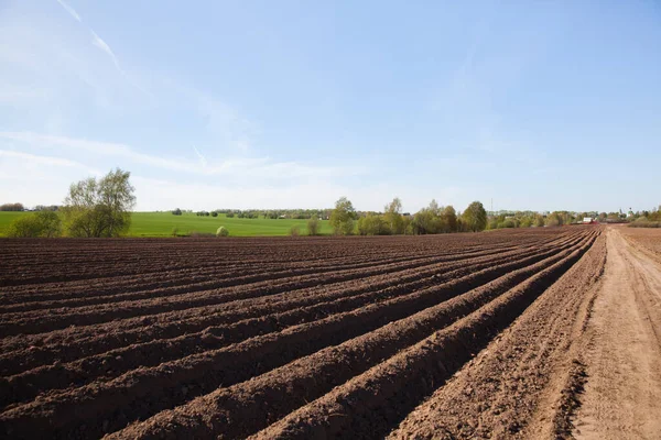 Furrows on a plowed field. Agricultural fields in Russia. — Stock Photo, Image