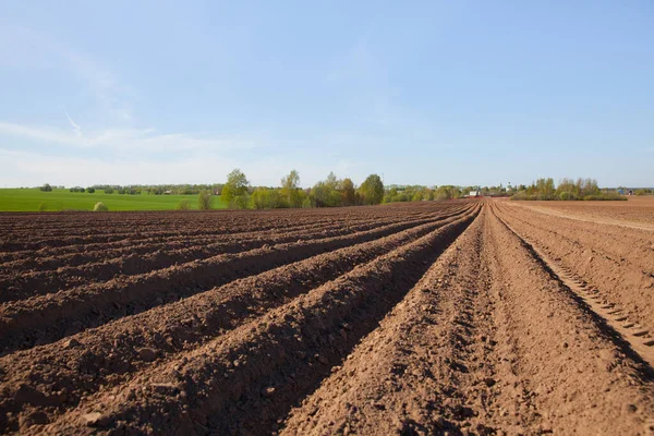 Colours of spring - ploughed field ready to sow. Agricultural fields in Russia. — Stock Photo, Image