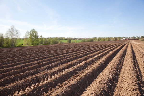 Colours of spring - ploughed field ready to sow. Agricultural fields in Russia. — Stock Photo, Image