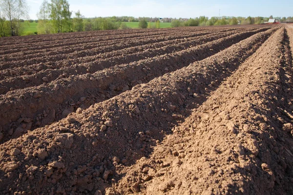 Colours of spring - ploughed field ready to sow. Agricultural fields in Russia. — Stock Photo, Image