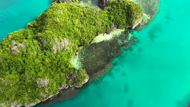 Ilha rochosa com floresta tropical, vista aérea. Ilhas Caramoas, Filipinas. — Vídeo de Stock