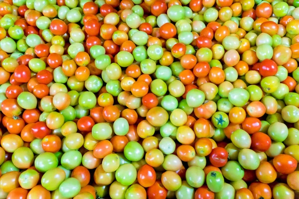 Green tomatoes, background. Harvest tomatoes, top view. — Stock Photo, Image