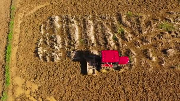 A traktor felszántja a földet. Rizsvetésre szánt talajelőkészítés. — Stock videók