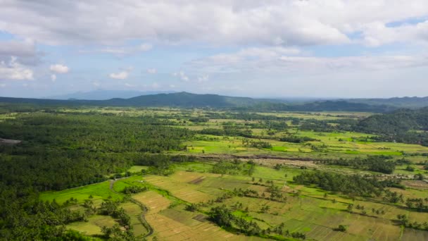 Paesaggio con terreni agricoli e risaie. Paesaggio tropicale immerso nel verde, vista aerea. — Video Stock